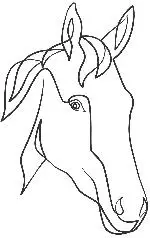horse head cropped