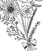 spring-flowers-bouquet-with-bow-doodle-decoration-flower-arrangement-isolated-on-white-background-vector cropped