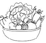 1 veg cropped